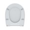 Сиденье для унитаза полипропилен IDDIS 005PPS3i31 4021
